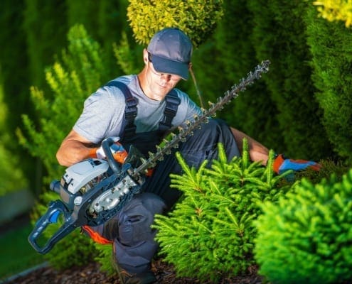 landscaper 1